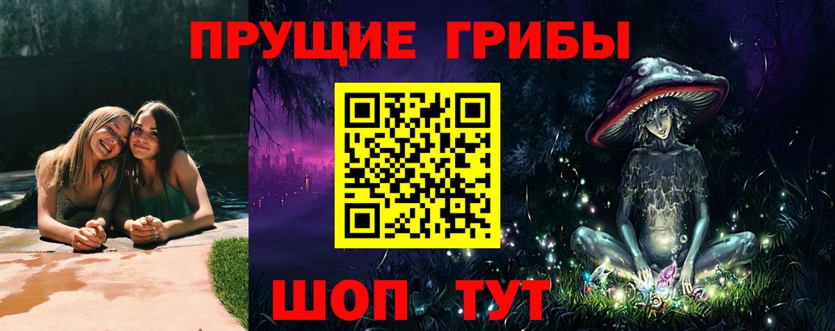Псилоцибиновые грибы GOLDEN TEACHER Отрадное